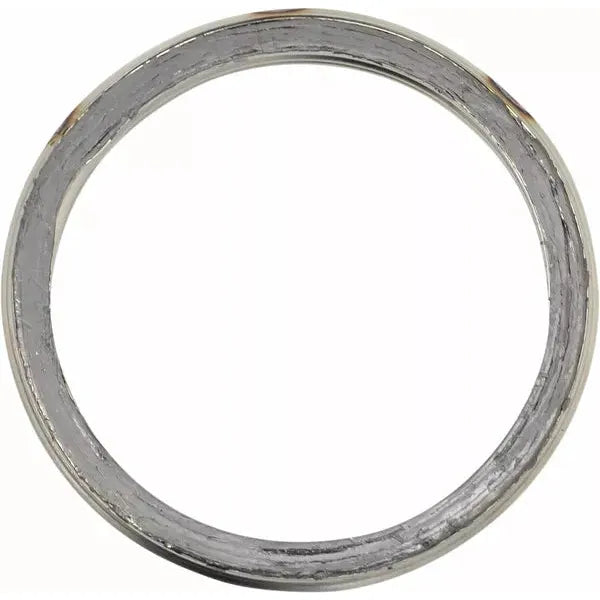 Exhaust Gasket Apr S410210012005