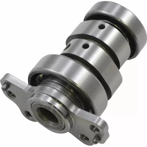 Cam Raptor 700 Stg 2 4065-2