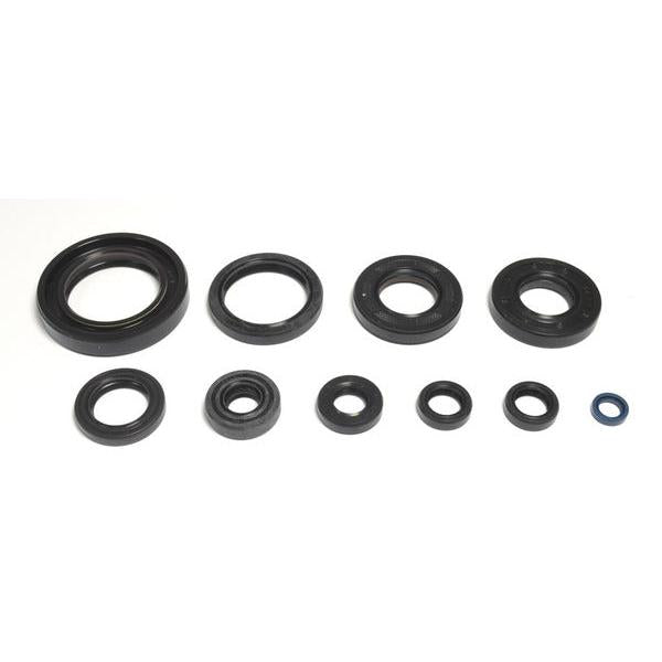 Engine Oil Seals Kit P400485400267