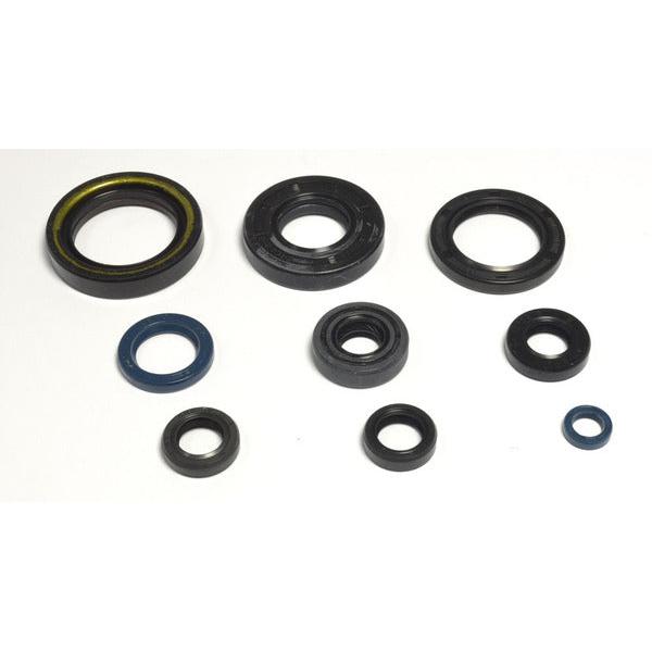 Engine Oil Seals Kit P400485400036
