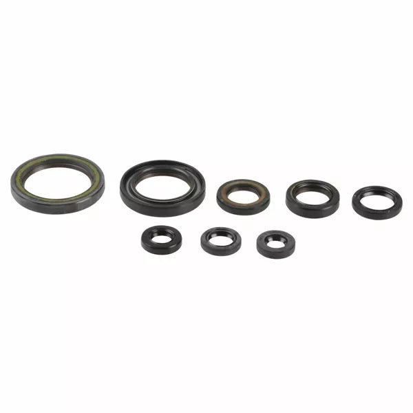 Engine Oil Seals Kit P400210400202