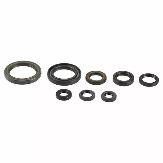 Engine Oil Seals Kit P400210400202