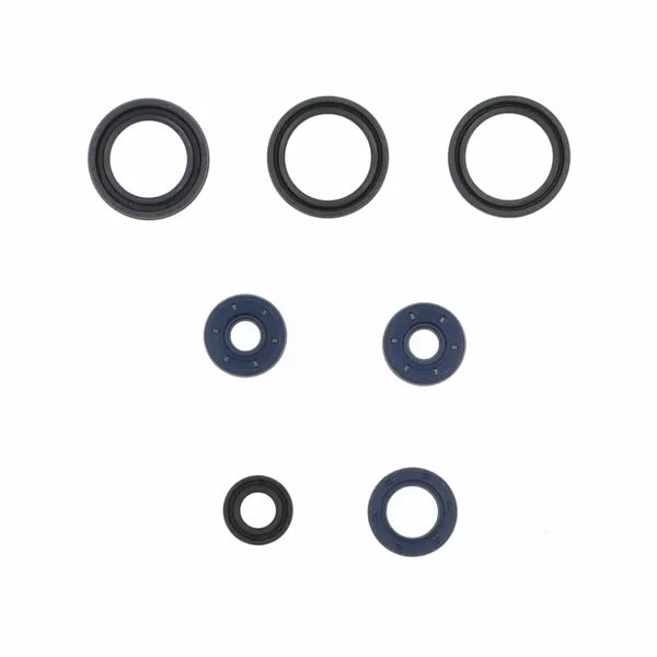 Engine Oil Seal Ap P400010400013