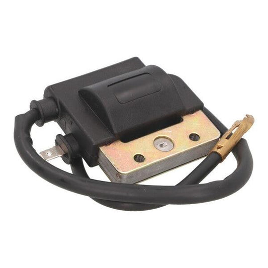 Ignition Coil 16829