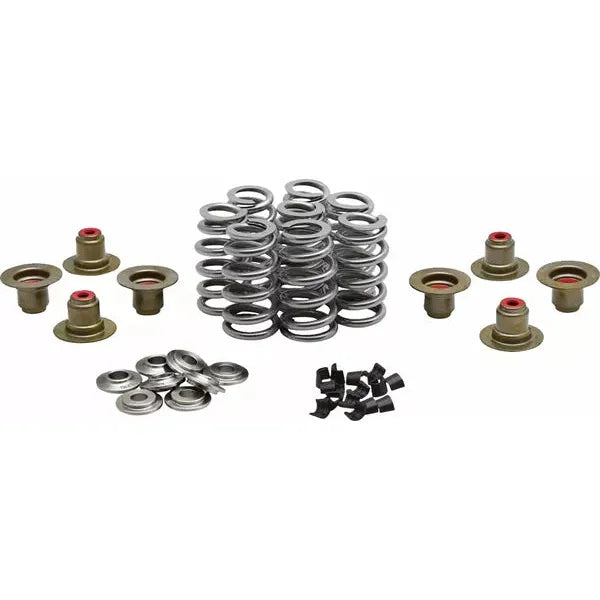 Beehive Valve Spring Kit 0.640" Lift W/"Psi" Springs Tt 20-24350