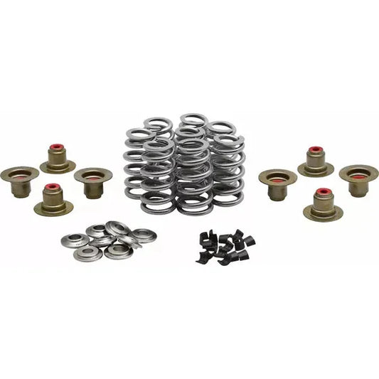 Beehive Valve Spring Kit 0.640" Lift W/"Psi" Springs Tt 20-24350