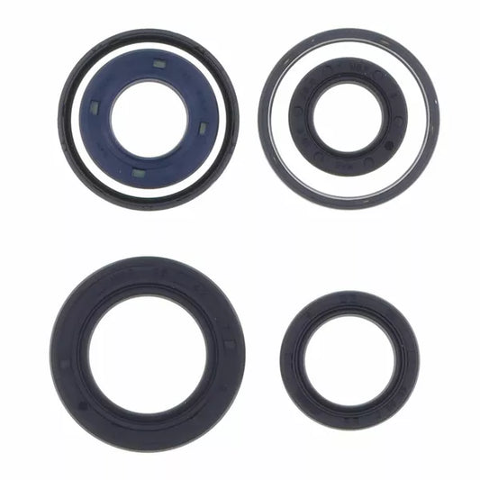 Engine Oil Seals Kit P400420400061