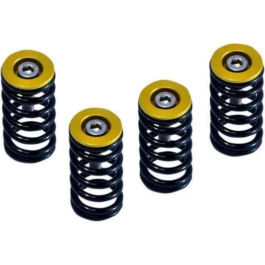 Clutch Sprg Wgold Ducati