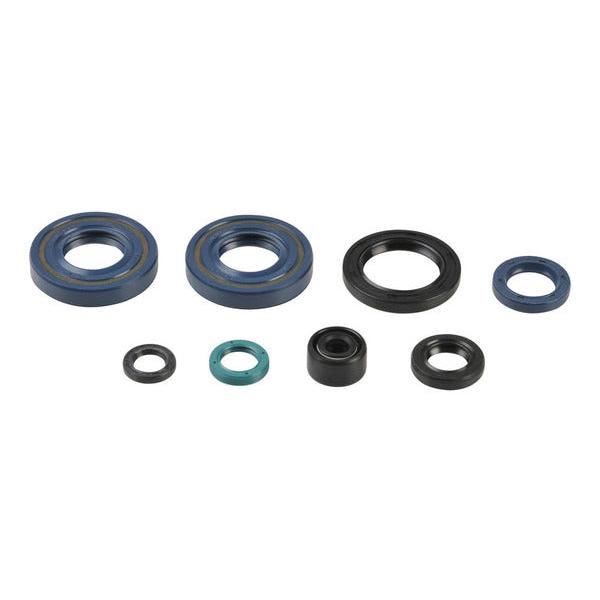 Engine Oil Seals Kit P400250400082