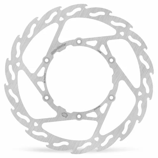 Brake Disc Flame Front 110809