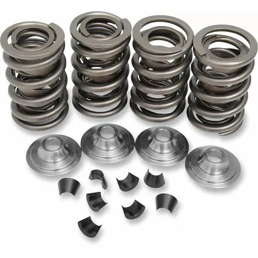 Spring Kit Vlv Oe 48-65Bt 20-20430