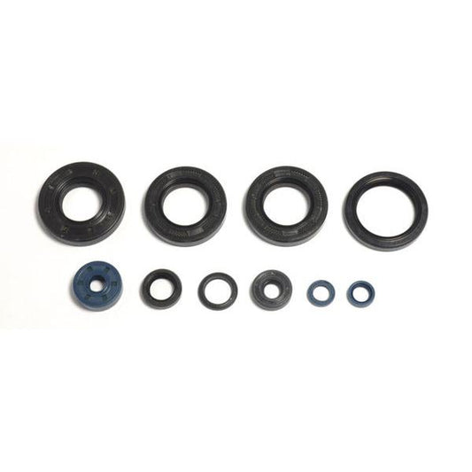 Engine Oil Seals Kit P400485400118