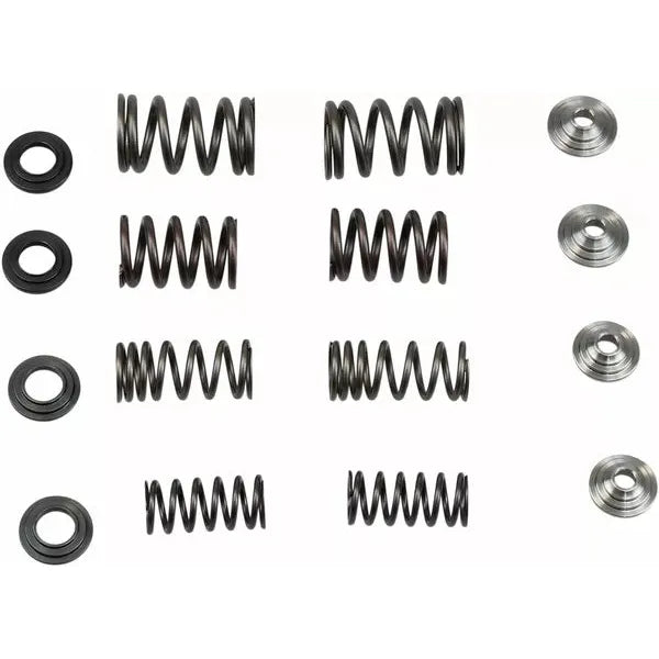 Spring Kit.440"09Crf450R 30-31250