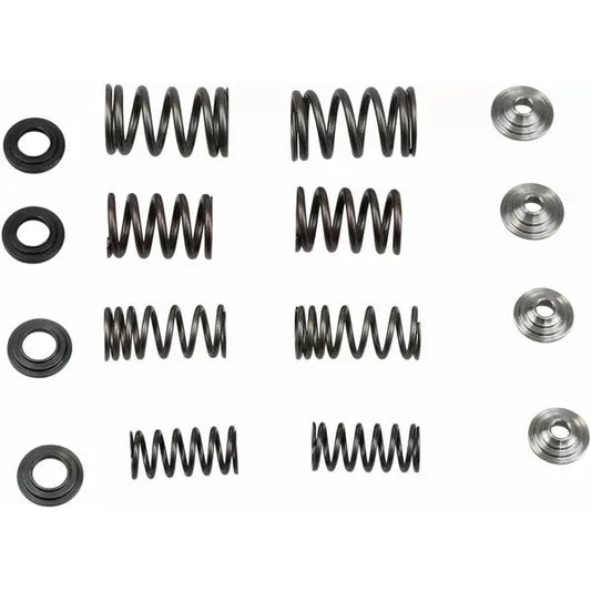 Spring Kit.440"09Crf450R 30-31250