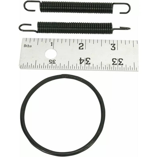 Spring/O-Ring Kit 250R 011385