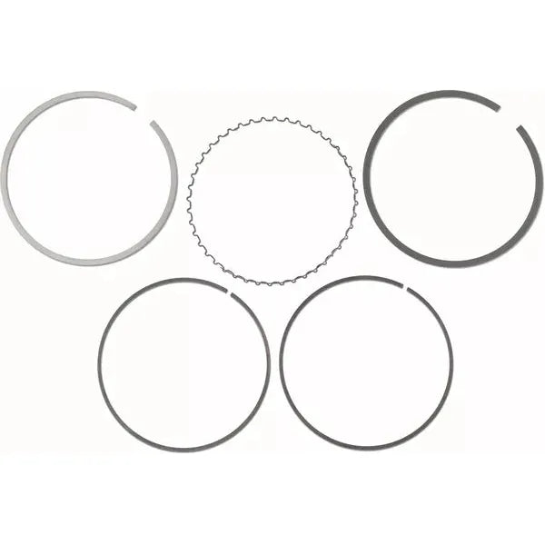 Piston Ring Set S41316119