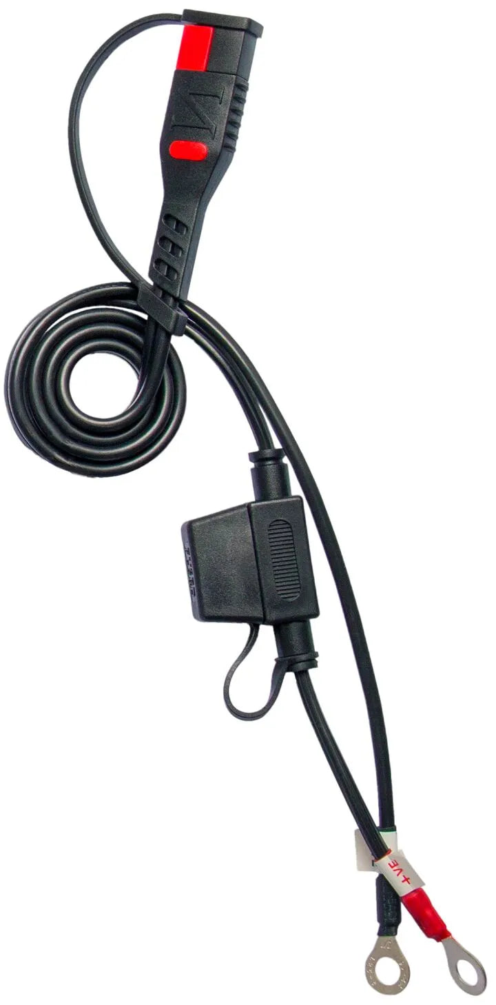 CHARGER BS10 6V/12V-1A - UK Plug
