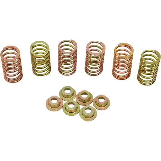 Clutch Spring Kit