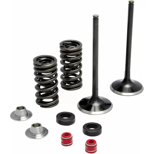Spring Kit Ss Cfr250R 16+ 30-32440