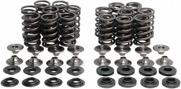 Valve Spring Kit Zx10R 40-41100