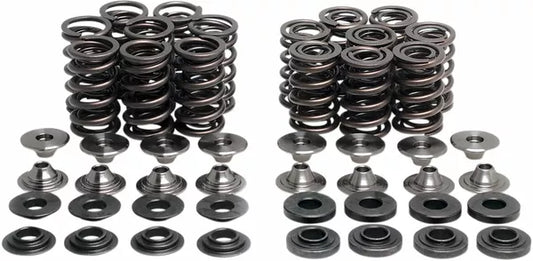 Valve Spring Kit Zx10R 40-41100