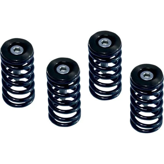 Clutch Sprg Wblk Ducati