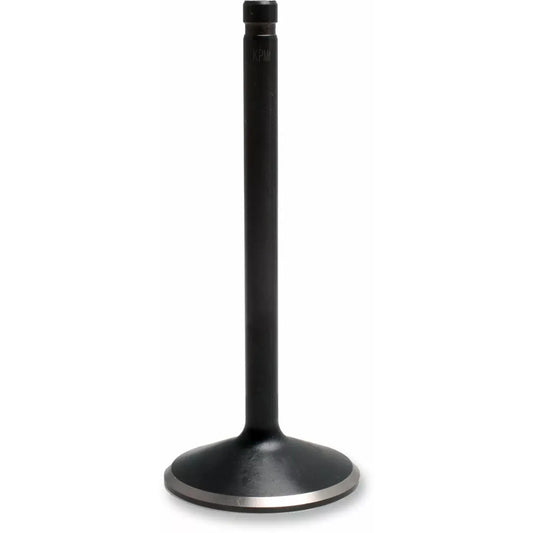 Nitrid Int Valv 84-99 Bt 20-4171
