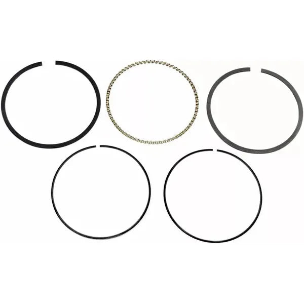 Piston Ring Set Std F/103 3875Xk