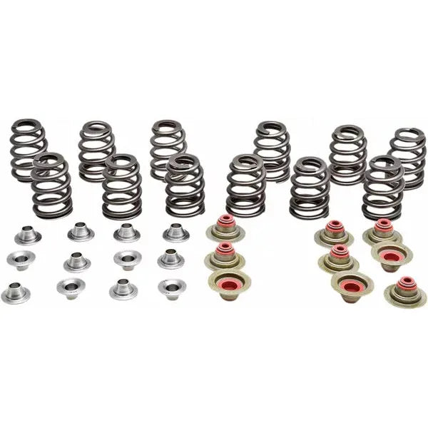 Spring Kt Maverick 17-20 91-91300