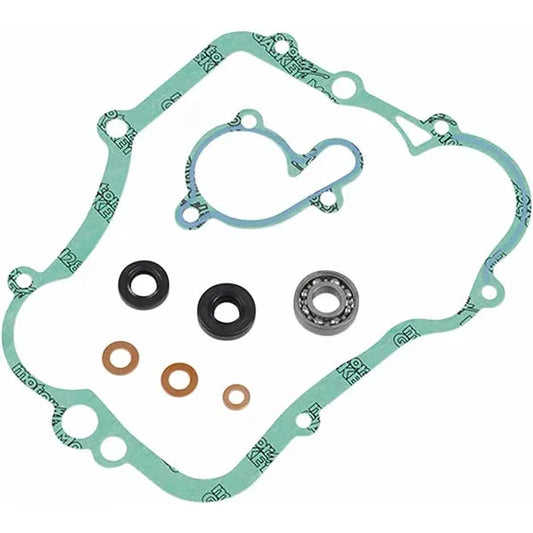 Gasket Kit Water Pump Kaw P400250475006