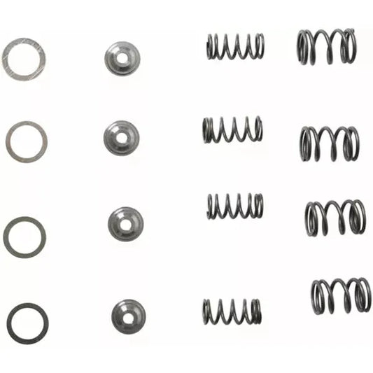 Spring Kit Trx250X/300Ex 30-3041