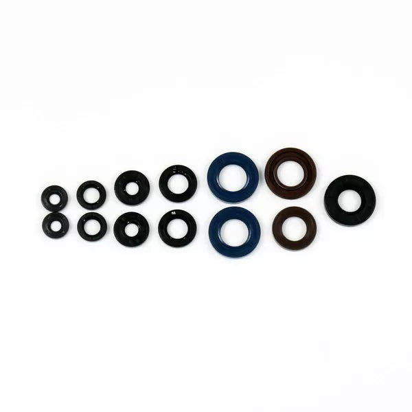 Engine Oil Seals Kit P400105400050