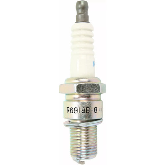 R6918B8 4492 Spark Plug