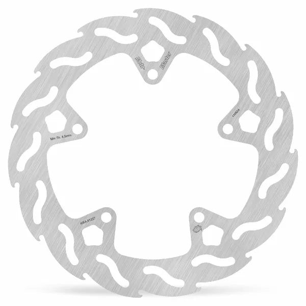 Brake Disc Flame Rear 110624