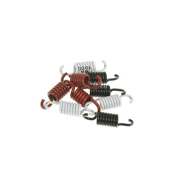 Clutch Spring Kit Sport Nk900.42
