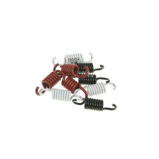 Clutch Spring Kit Sport Nk900.42