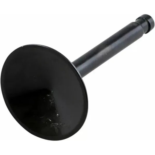 Nitride Valve Int66-84Shl 20-4194