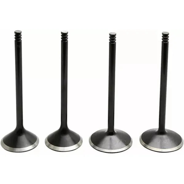 Valve Kit 04-17 Evo/1200 20-22900