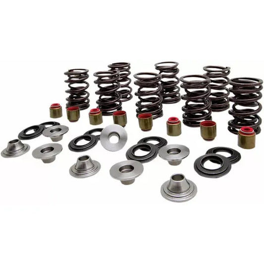 Spring Kit Valve Ti Rzr 82-82350