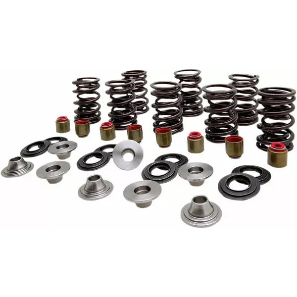 Spring Kit Valve Ti Rzr 82-83400