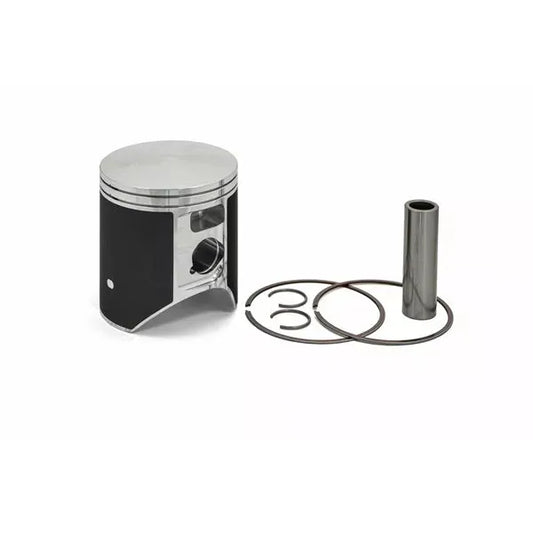 Piston Kit Pro D71.95 24617C