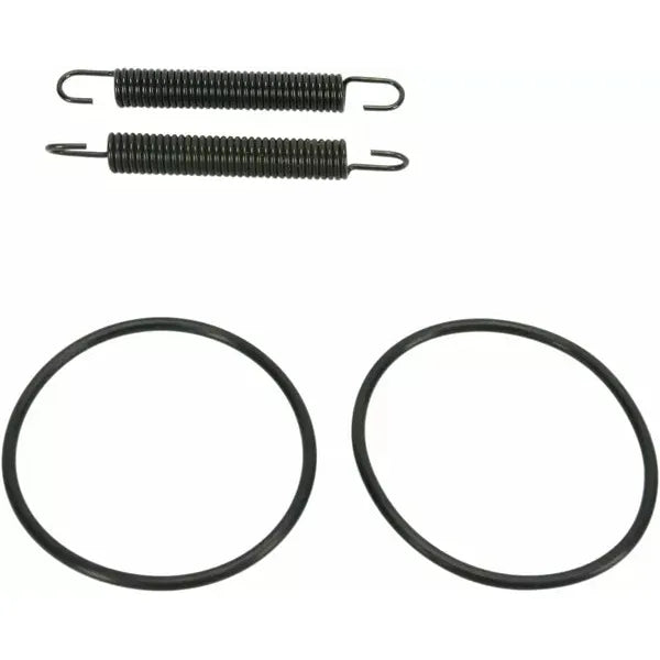 Spring/Oring Kit Yz250 011318