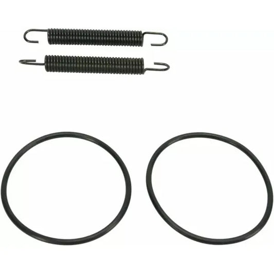 Spring/Oring Kit Yz250 011318
