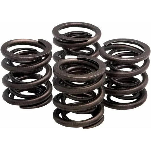 Valve Springs 57-83 Xl 20-2215