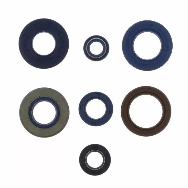 Engine Oil Seal Ap/Ya P400130400204/1