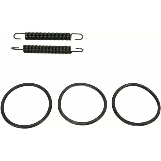 Spring/Oring Kit Yz125 011315