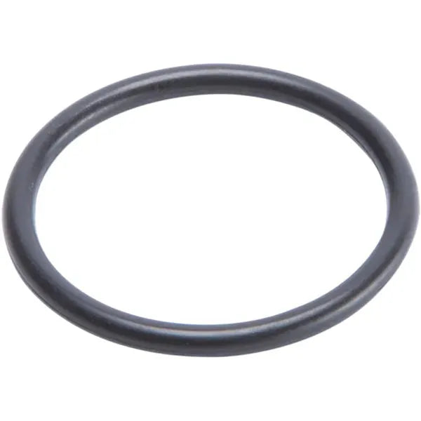 O Ring Comp Adjuster Pist