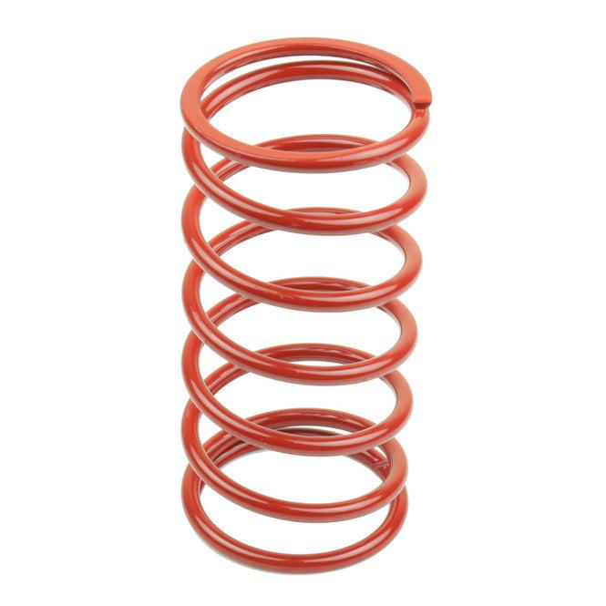 Variator Springs 80096