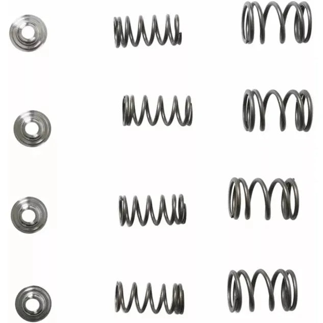 Spring Kit Trx400Ex 30-3111