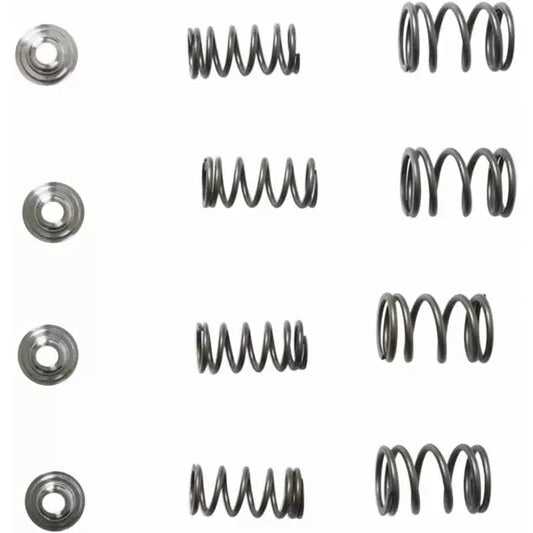 Spring Kit Trx400Ex 30-3111